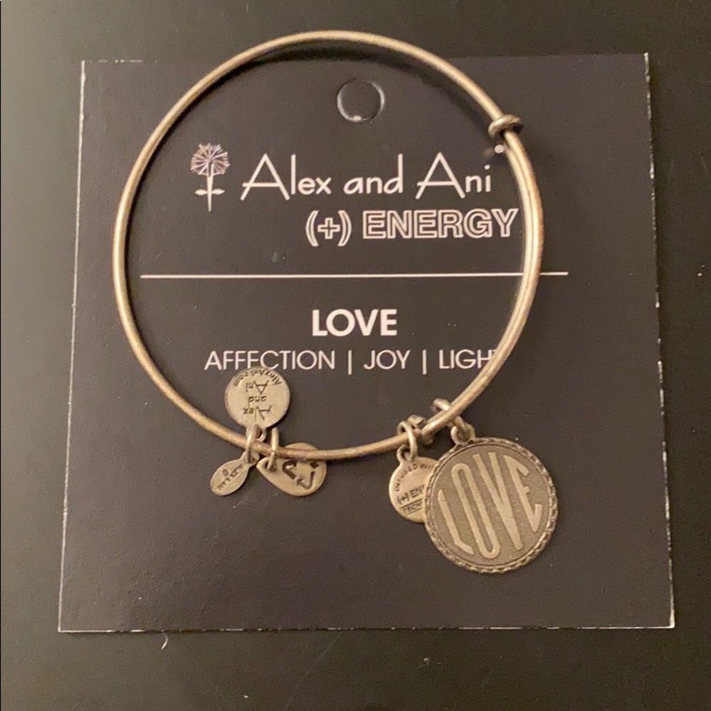 Alex and Ani silver LOVE bracelet